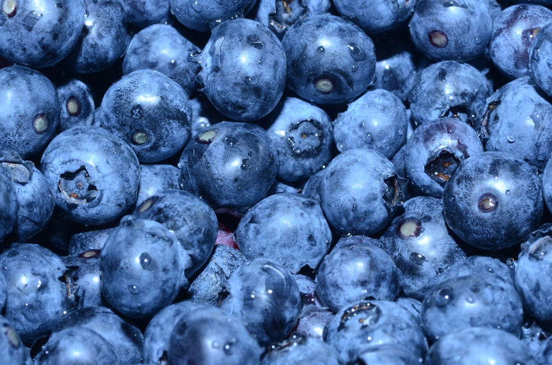 Photo Blueberries